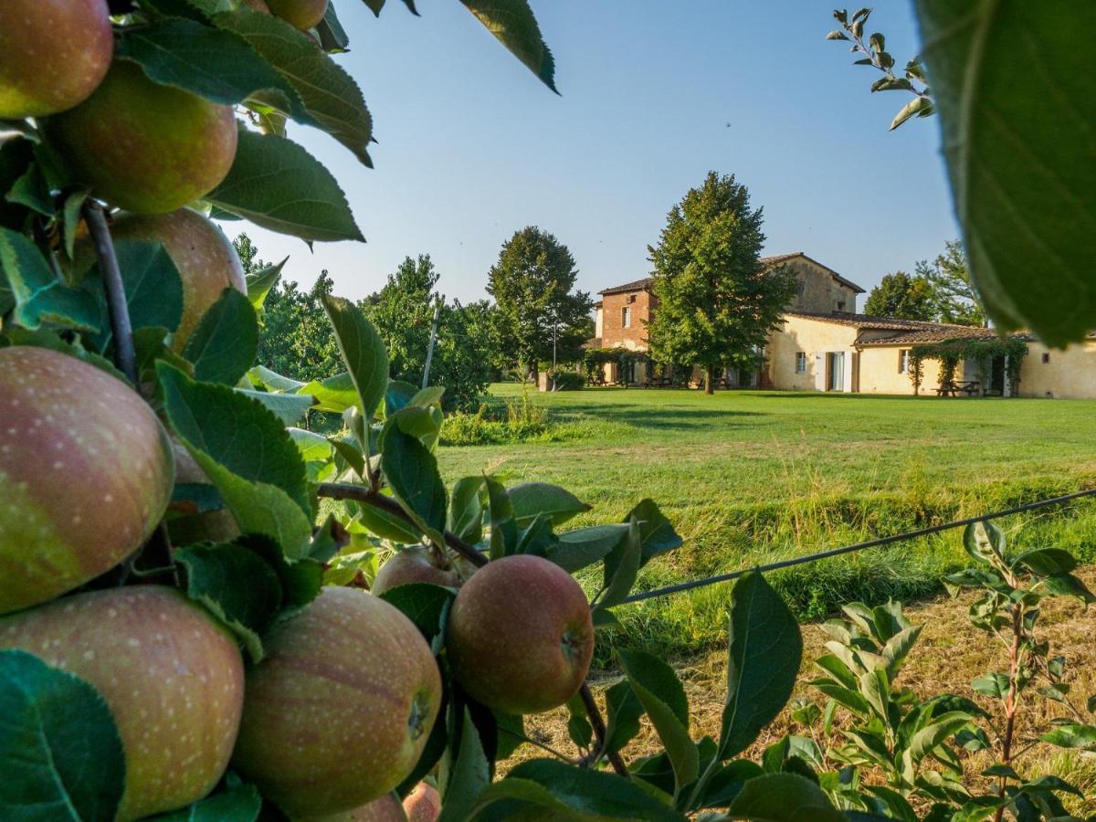 Foresteria Il Giardino Di Fontarronco Alberoro Eksteriør bilde