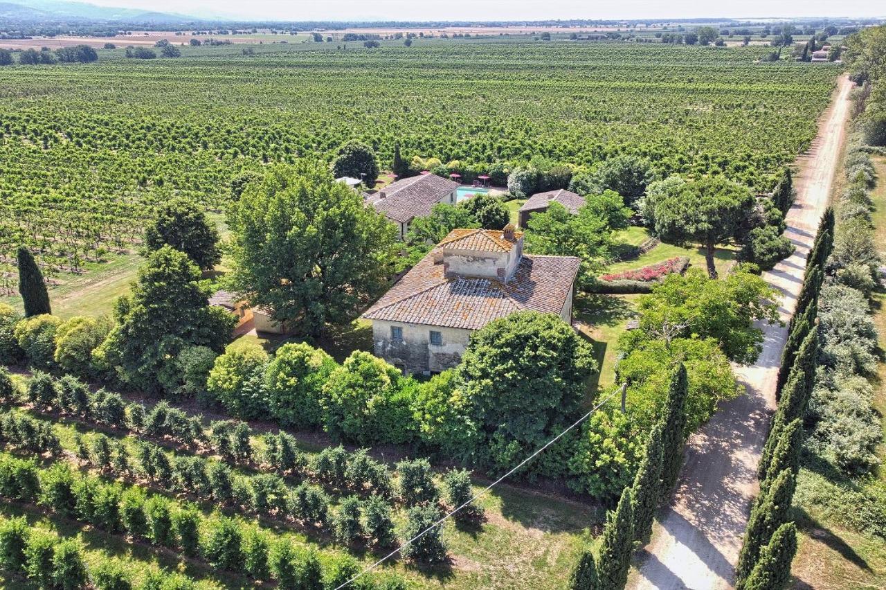 Foresteria Il Giardino Di Fontarronco Alberoro Eksteriør bilde